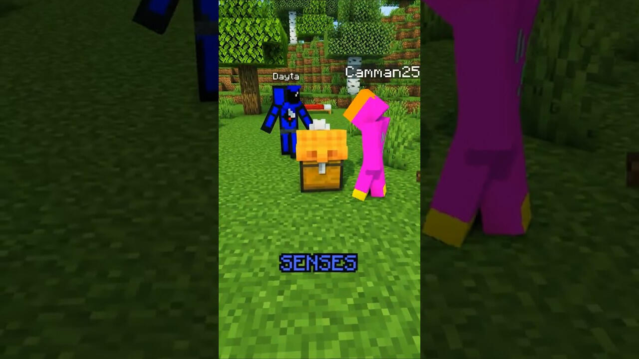 GE3T3E (Myself / Side Character) from "Minecraft but Im a CHEST..."